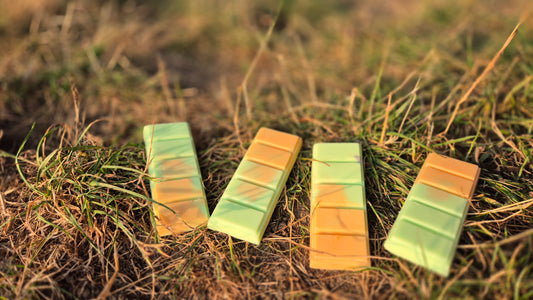 Maggie Farts - Soy Wax Melt Snap Bar