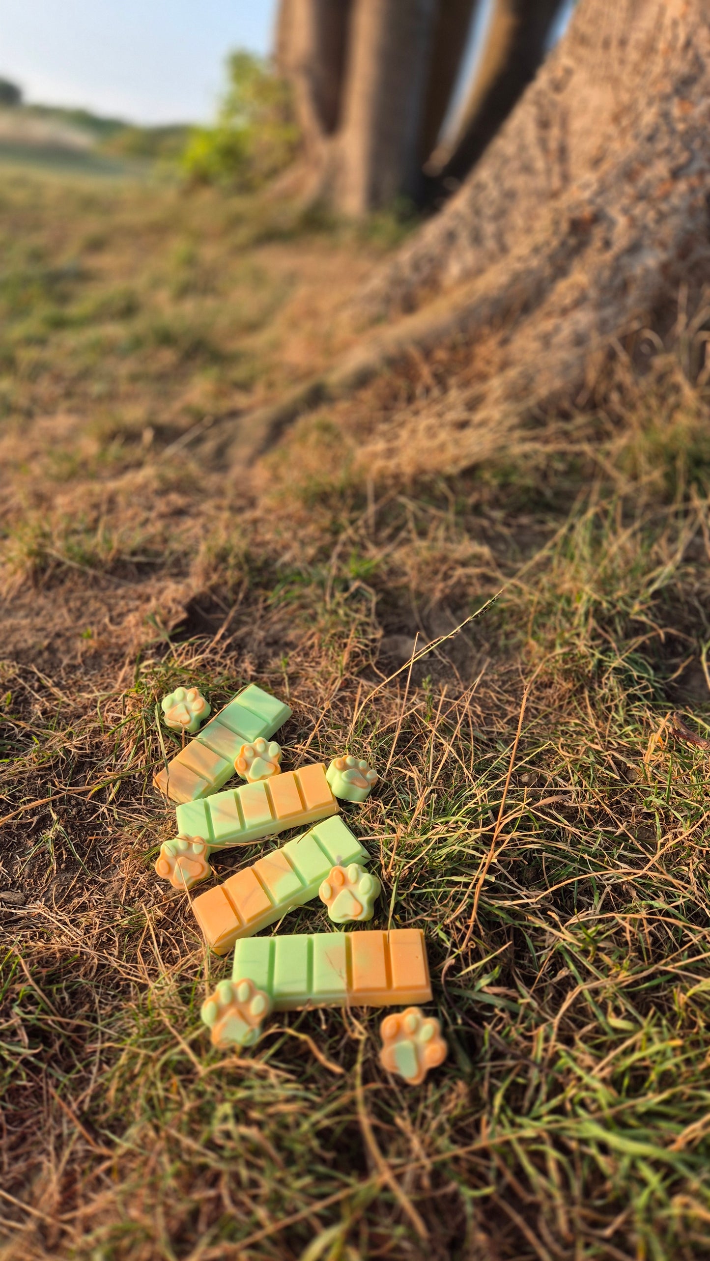 Maggie Farts Soya Wax Melt Snap Bar