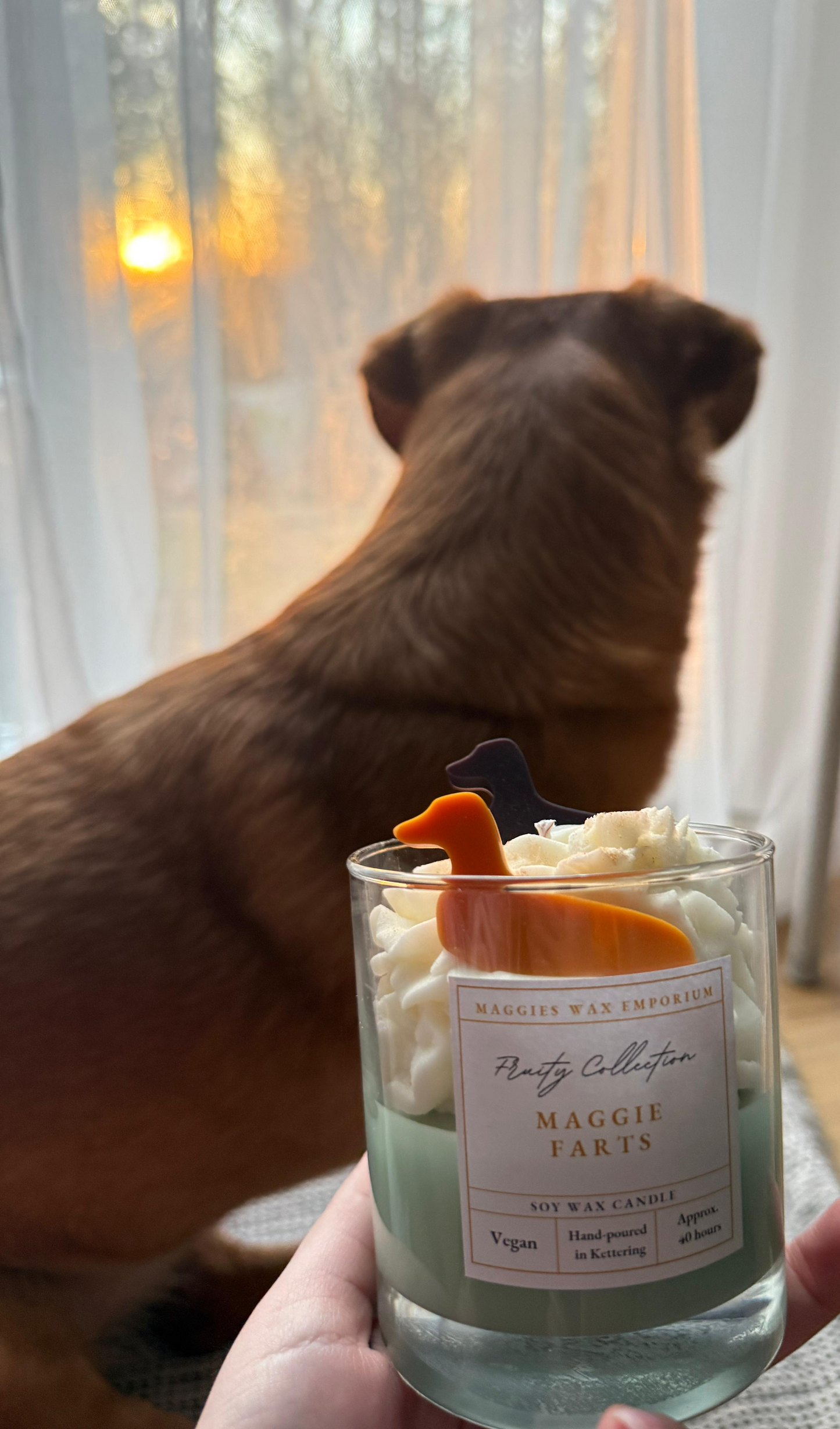 Maggie Farts - Whipped Soy Dachshund Dog Glass Candle