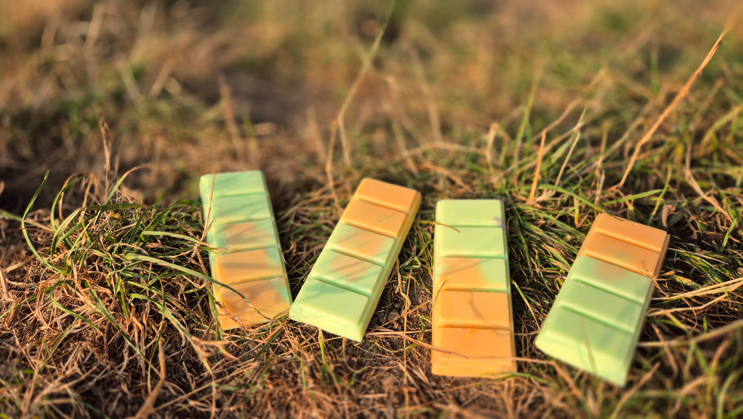 Maggie Farts Soya Wax Melt Snap Bar