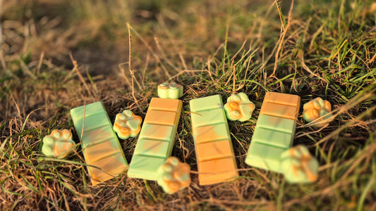 Maggie Farts Soya Wax Melt Snap Bar