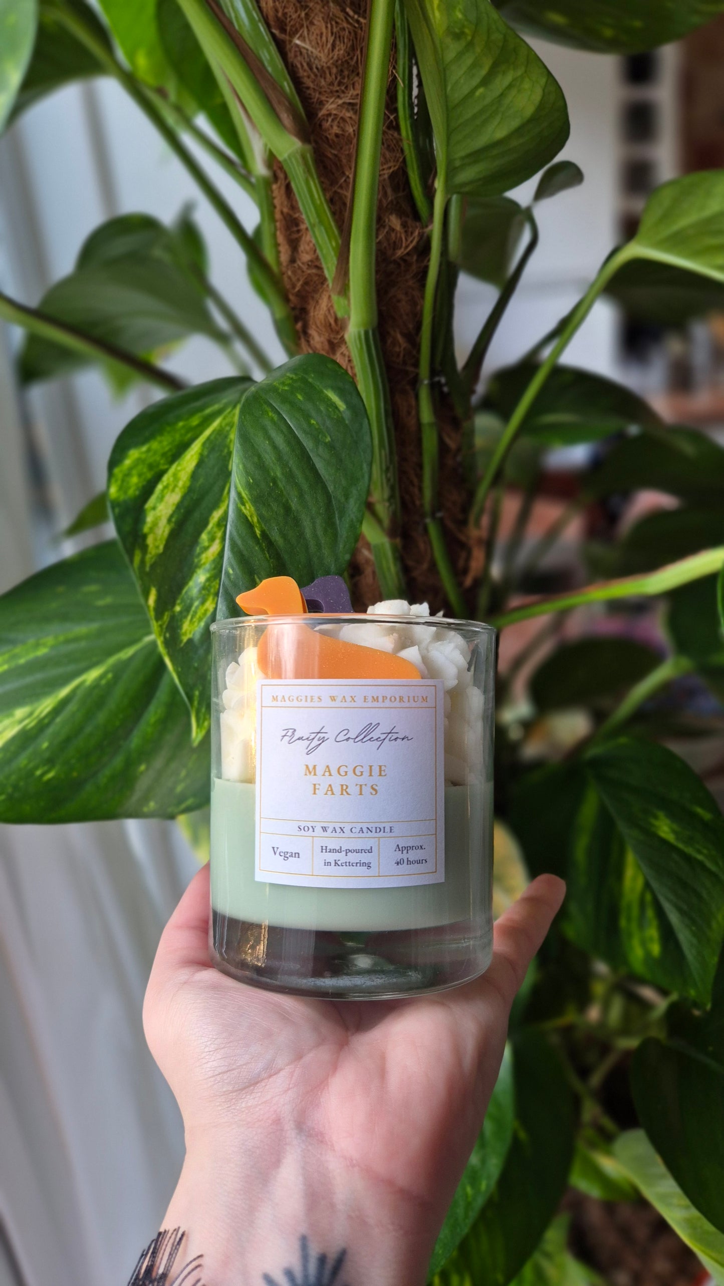 Maggie Farts - Whipped Soy Dachshund Dog Glass Candle