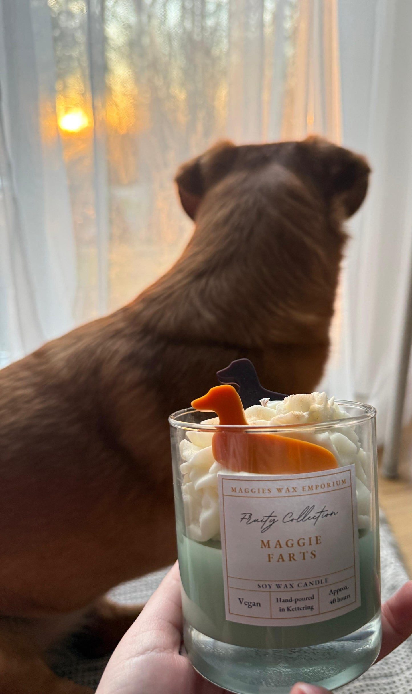 Maggie Farts - Whipped Soy Dachshund Dog Glass Candle